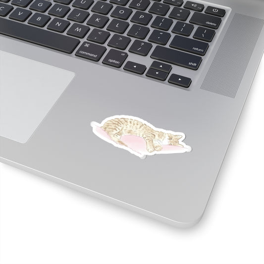 CAT NAP STICKER