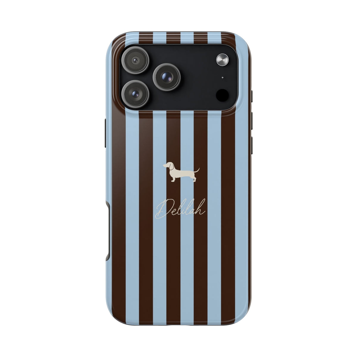 PERSONALIZED BROWN & BLUE STRIPES DACHSHUND CUSTOM NAME PHONE CASE