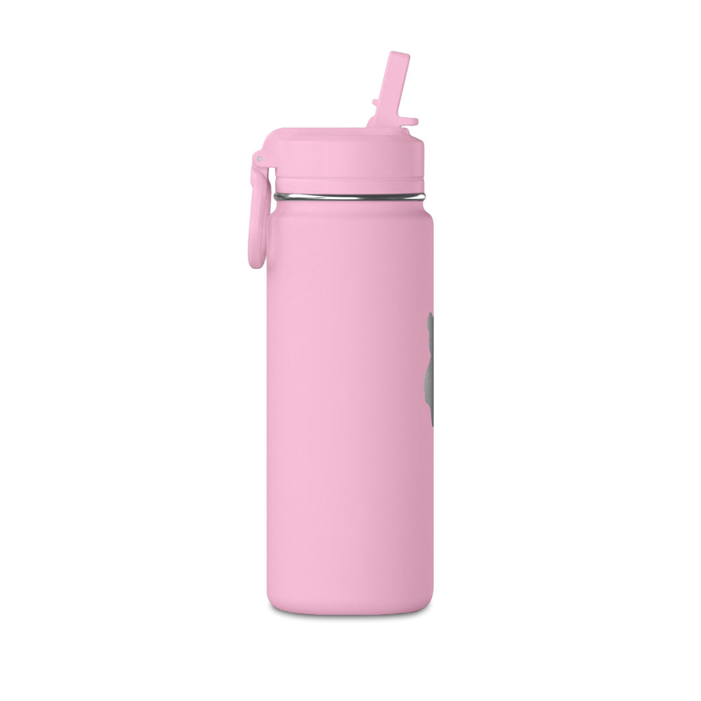 Pink stainless steel water bottle with flip-top lid and side carry handle