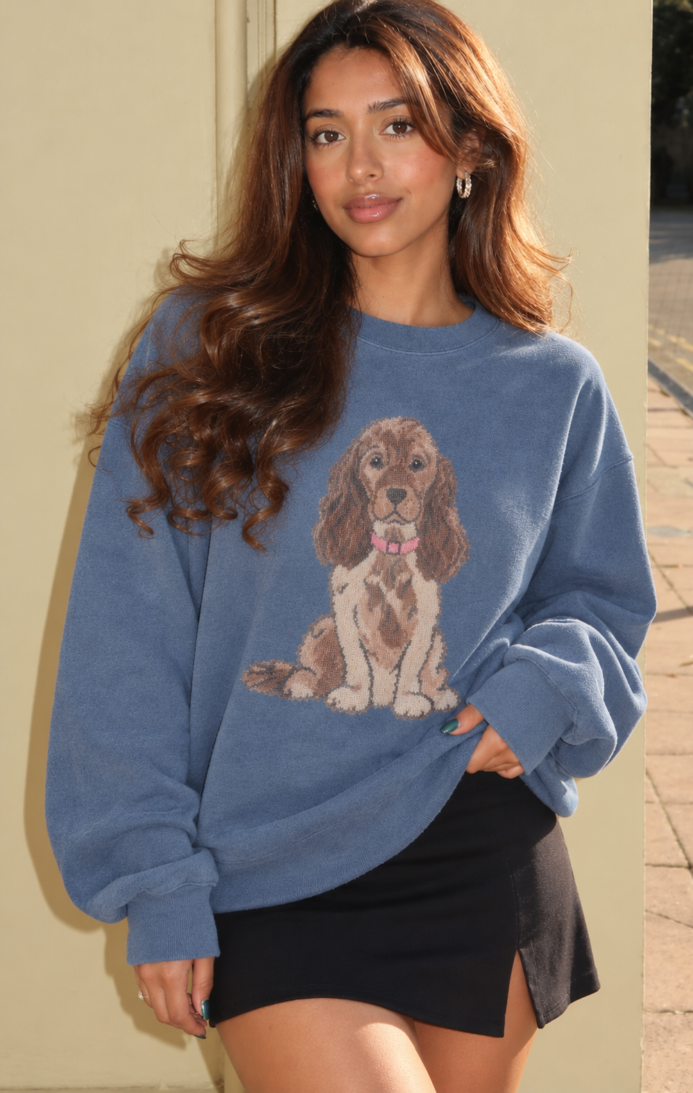 THE SPANIEL BLUE CREWNECK SWEATSHIRT