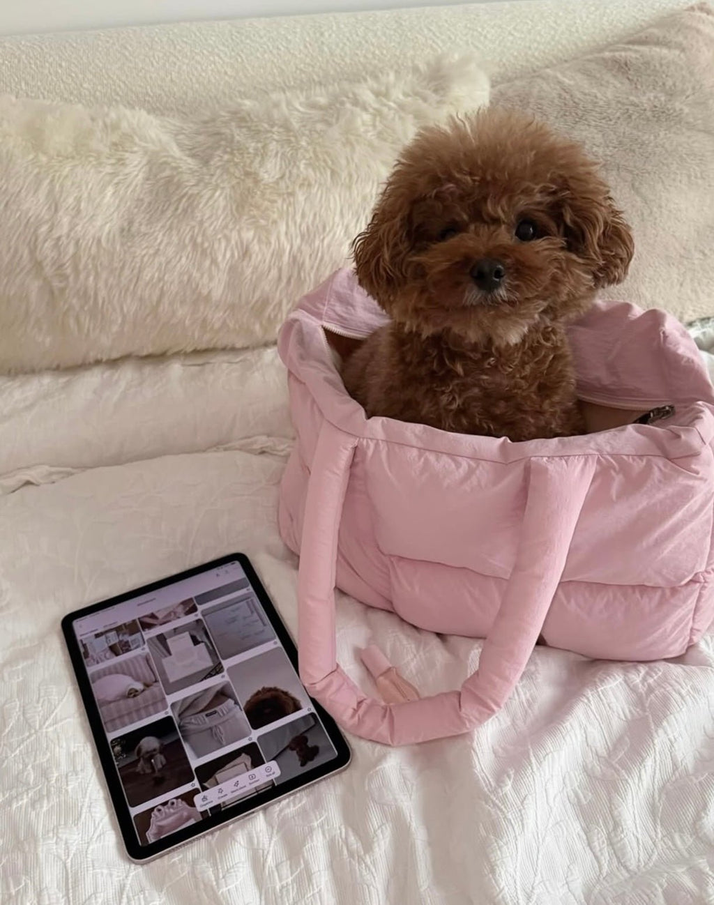 Pink puffer duffle tote bag with front pocket, holding a small dog