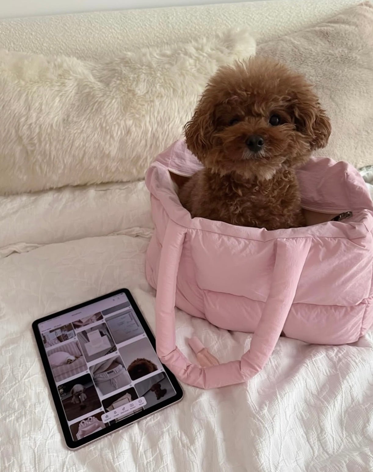 Pink puffer duffle tote bag with front pocket, holding a small dog